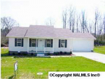 305 Conway Street Albertville, AL 35950 - Image 381517