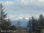 3730 Forest Glen Drive Homer, AK 99603 - Image 403710