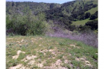 0 Vacant Lot Chino Hills, CA 91709 - Image 426201