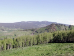 469 Rabbit Ears Loop Kremmling, CO 80459 - Image 428646