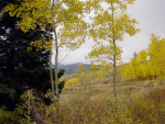 670 CR 286/Upper Bear Mtn. Kremmling, CO 80459 - Image 428647