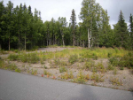 L4 B2 Silverspring Lane Nikiski, AK 99635 - Image 429434