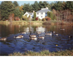 182 Peakham Rd Sudbury, MA 01776 - Image 444645