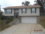 25 Adventura Dr Festus, MO 63028 - Image 462343