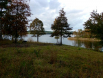 Lot F-13 Bent Pebble Point Lumberton, MS 39455 - Image 466043