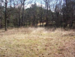 Lot #13, Rock Wall Heights Clarksville, AR 72830 - Image 472710