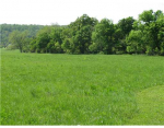 40 acres MOUNTAIN VIEW RD Lincoln, AR 72744 - Image 473291