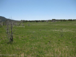 Lot 3 Rbcr 71 Meeker, CO 81641 - Image 474027