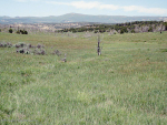 Lot 4 Rbcr 71 Meeker, CO 81641 - Image 474028