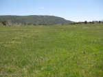 Lot 6 Rbcr 71 Meeker, CO 81641 - Image 474029