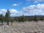 700 Southeast Happy Trail Lane Prineville, OR 97754 - Image 485668