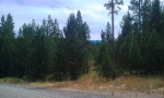 LOT 51 WHISPERING PL Cascade, ID 83611 - Image 496116