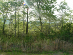 LOT 20 EE KINGWOOD ESTATES Clayton, GA 30525 - Image 496813