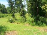 0 Wilburn Ferry Rd #7 Wedowee, AL 36278 - Image 502781