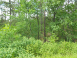 17 River Run Cove Bigelow, AR 72016 - Image 510726