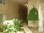 346 Carpenter Dr Ne Apt 30 Atlanta, GA 30328 - Image 520383