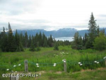 50375 E End Road Homer, AK 99603 - Image 520758