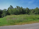 Lot 38 Ridgewood Drive Dr Mountain Home, AR 72653 - Image 520780