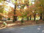 Lot 177 Hillside Circle Cir Mountain Home, AR 72653 - Image 520778