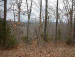 Lot 302 Baypoint Drive Dr Mountain Home, AR 72653 - Image 520775