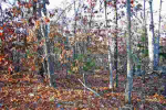 Lot 10 &amp; 11 Blackjack Trail Trl Mountain Home, AR 72653 - Image 520782