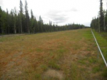 Lot 8 Timber Trail North Pole, AK 99705 - Image 522659