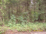 CR 2141 Hartman, AR 72840 - Image 526611