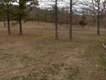 703 Ashwood Road Clinton, AR 72031 - Image 527391