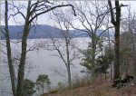 Lot 60 - The Promenade Scottsboro, AL 35769 - Image 529291