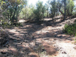 Lot 20 Edison Way Payson, AZ 85541 - Image 531561