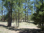 Lot 44 Hunter Creek Payson, AZ 85541 - Image 531563