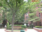 1275 E 51st St Apt 6w Brooklyn, NY 11234 - Image 533541