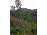 Lot 9 Cache Creek Recreational Trapper Creek, AK 99683 - Image 534080