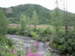 Lot 8 Cache Creek Recreational Trapper Creek, AK 99683 - Image 534081