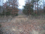 6 acres M/L on CR 3611 Clarksville, AR 72830 - Image 538786