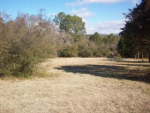 Lot #24, Rock Wall Heights Clarksville, AR 72830 - Image 538791