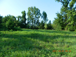 Lot #5 Caddo springs Rd. Clarksville, AR 72830 - Image 538793