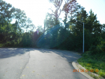 Lot #4Caddo springs Rd. Clarksville, AR 72830 - Image 538795