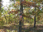 Lot 18 Rustic Ridge Drive Dr Mountain Home, AR 72653 - Image 539534