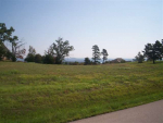 Lot 37 Swiss Mountain Drive Dr Mountain Home, AR 72653 - Image 540110