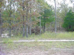 Lot 30 Spring Street St Mountain Home, AR 72653 - Image 540107