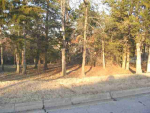 Lot 9 Leatherwood Drive Mountain Home, AR 72653 - Image 540111