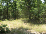 Lot 36 Cr 1434 Mountain Home, AR 72653 - Image 540105