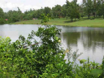 Lot 7 Spring Lake Drive Mountain Home, AR 72653 - Image 540113