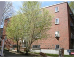 Kelton Street #A1 Allston, MA 02134 - Image 541812