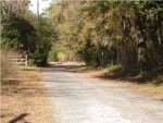 0 MARTIN ST Ravenel, SC 29470 - Image 552309