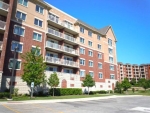 8300 Concord Dr Unit 206 Morton Grove, IL 60053 - Image 552888