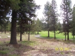 Lot 14 Block 4 Whitetail Mccall, ID 83638 - Image 552974