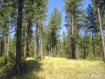 Lot 11 W Pine SubDivi New Meadows, ID 83654 - Image 554850