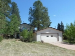 508 E Gunnison Ave Woodland Park, CO 80863 - Image 563228